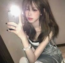 案例摘要